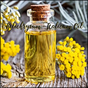 May include: A clear glass bottle filled with golden yellow Helichrysum Italicum Oil, topped with a brown cork stopper. The bottle is surrounded by clusters of small, bright yellow flowers and silvery-green foliage on a textured wooden surface.