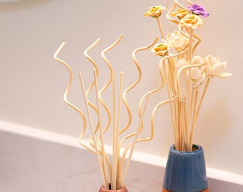 Curly and Straight Reed Diffuser Set Replacement