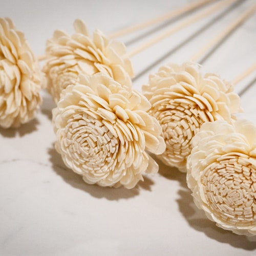 5 Sola Wood Rose Flowers on Diffuser Reed Stem Dried Flower Etsy
