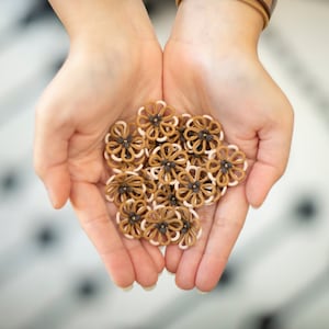 May include: A collection of small, brown and white fabric flowers with black centers. The flowers are held in the palms of two hands.