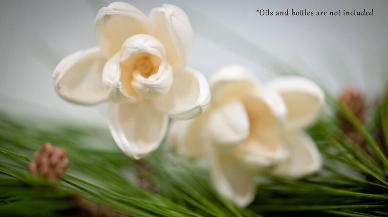 May include: Two white, paper-like flowers with a delicate, folded texture are nestled in a bed of green pine needles. The flowers are arranged in a natural, organic style, creating a simple and elegant display.