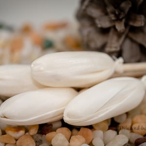 May include: Three white ceramic diffuser sticks with a natural wood base, resting on a bed of small white and brown stones. "Oils and bottles are not included" is written in the bottom right corner of the image.