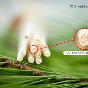 May include: Close-up of a bundle of natural rattan diffuser sticks. The sticks are light brown and have a porous texture. The text "HIGH POROSITY RATTAN WOOD" is visible below the sticks.  *Oils and bottles are not included*.