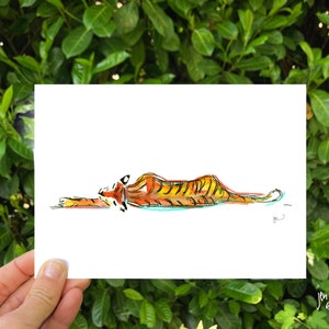 Sleeping tiger 5x7 and 8x10 print; wildlife illustration; animal art print