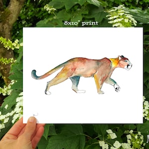 Cougar, mountain lion 5x7 and 8x10 print; wildlife illustration; animal art print