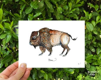 Bison buffalo 5x7 and 8x10 print; bison illustration; animal art print