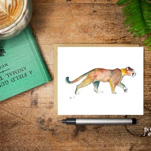 Cougar, bergleeuw wenskaart; aquarel tekening, blanco kaart met envelop