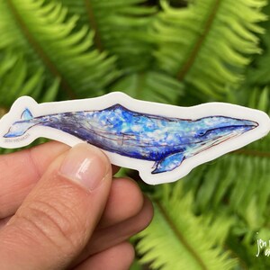 Gray whale sticker, 3x1&quot;; vinyl sticker; animal illustration