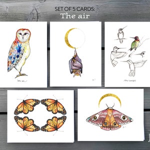 Die Luft – 5er Set Grußkarten – Aquarellzeichnungen, Blankokarten mit Umschlägen – Schleiereule, Fledermaus, Kolibri, Monarchen, Motten