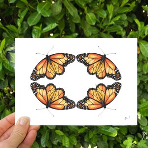 Monarchs 5x7 and 8x10 print; butterfly illustration; animal art print