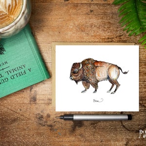 Bison Grußkarte; Aquarell zeichnung blanko Karte mit Umschlag