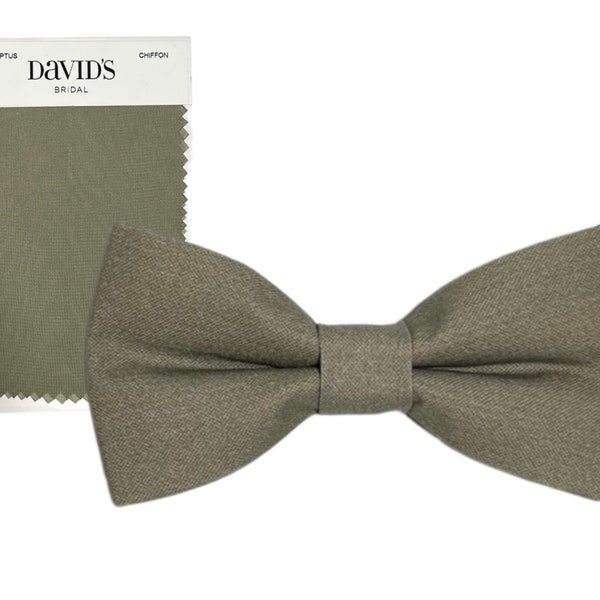 Eucalyptus Bow Tie --- PERFECT for Groomsmen, Ring Bearer, Page Boy Outfit, Wedding, David's Bridal, Birdy Grey Satin Moss, Cake Smash