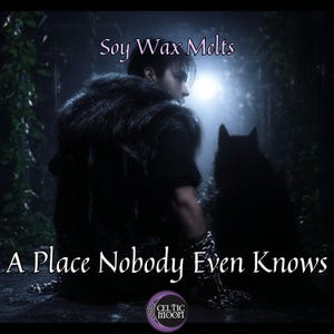 Wax Melts | A Place Nobody Even Knows | Stray Kids Themed Soy Wax Melts