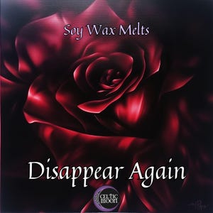 Wax Melts | Disappear Again | Stray Kids Themed Soy Wax Melts