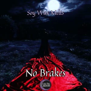 Wax Melts | No Brakes | Stray Kids Themed Soy Wax Melts