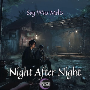 Wax Melts | Night After Night | Stray Kids Themed Soy Wax Melts