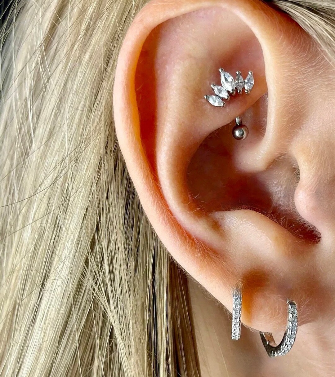 Lobe barbell 2024