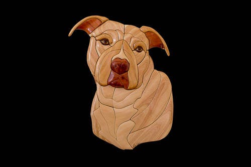 Pitbull Patron Intarsia Intarsia Pattern Etsy