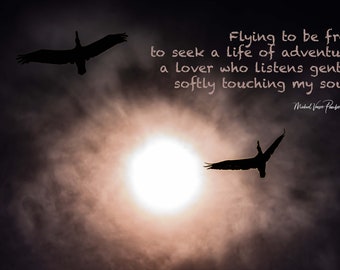 Poetry Series - Flying to be Free - By Michael Vance Pemberton
