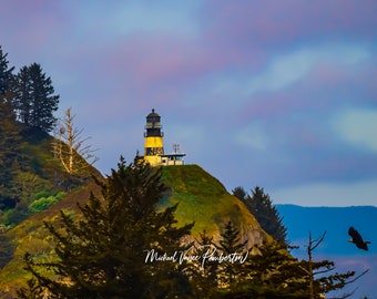 Cape Disappointment Light House - Bald Eagle - Long Beach Peninsula - Michael Vance Pemberton