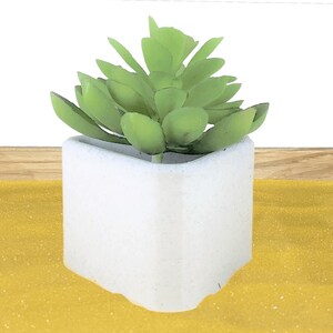 Triangle Flower Pot - Succulent Planter Air Plant Holder