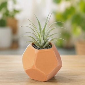 May include: An orange geometric ceramic planter holding a green air plant. The planter has a faceted design and is filled with small black pebbles. The air plant has long, slender green leaves. The planter sits on a wooden surface.