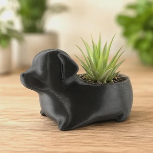 May include: A black dog-shaped planter holding a small green plant. The planter is made of a matte black material and sits on a wooden surface. The plant has long, thin green leaves.