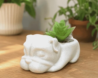 Cute Bulldog Succulent Planter – Dog Flower Pot or Air Plant Holder