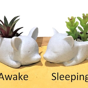Cute Corgi Flower Pot - Dog Succulent Planter