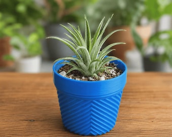 Diagonals Succulent Planter - Air Plant Holder