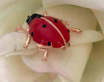Red Ladybird Brooch, Enamel Ladybug Brooch, Mothers Day Jewellery GIFT WRAPPED