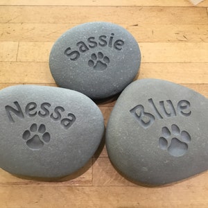 May include: Three gray stones with the names "Sassy", "Nessa", and "Blue" engraved on them. Each stone has a paw print engraved below the name.