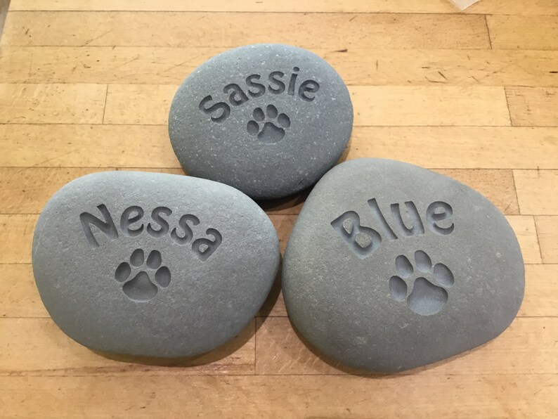 May include: Three gray stones with the names "Sassy", "Nessa", and "Blue" engraved on them. Each stone has a paw print engraved below the name.