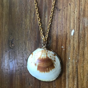Shell necklace, shell jewellery, shell jewelry, necklace sea shell, sea shell necklace, sea shell jewellery, sea shell jewelry