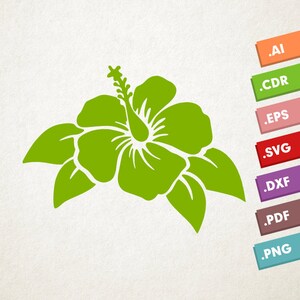 May include: A green hibiscus flower with five petals and leaves. The flower is in a simple, flat style.