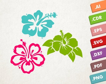 3 Hibiscus SET SVG. Instant download design for cricut or silhouette. SVG Hibiscus, Rosa. Luau festival, Flower Stencil. Hawaii Summer.