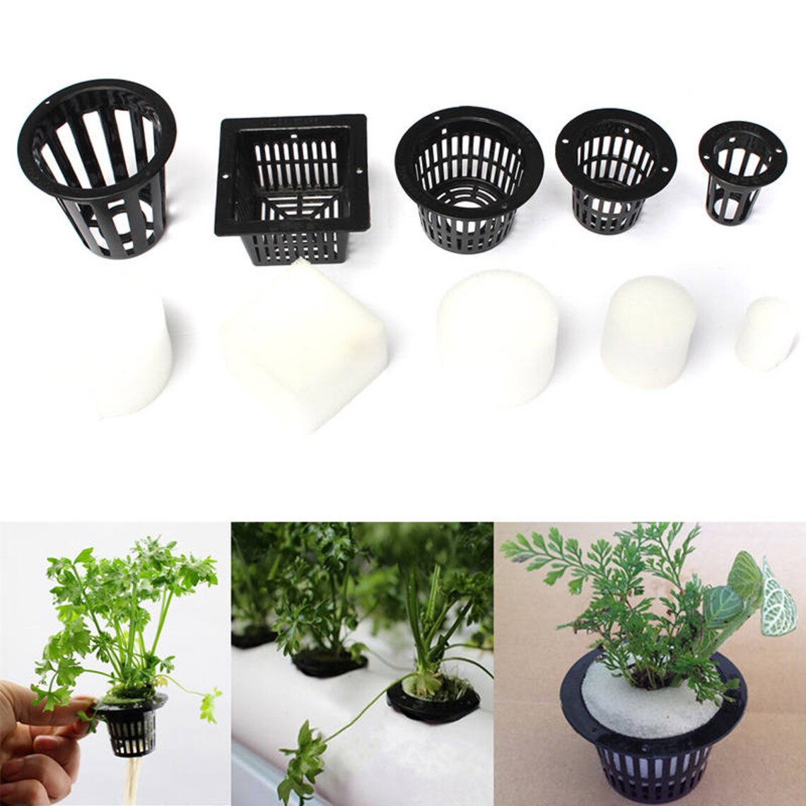 mitre 10 hydroponics
