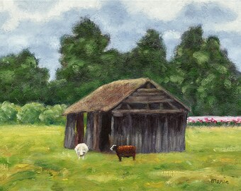 Dutch landscape art print made of my oil painting "Sheep Shed"