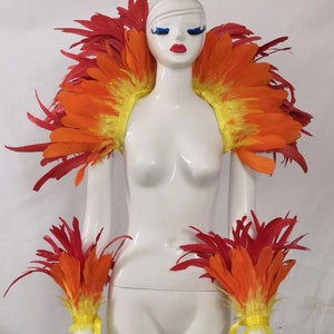 Feather Costume/Carnival Rave Costume