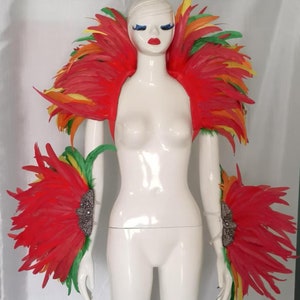 Carnival Costume / Feather Rave Feather/Burlesque feather / Halloween Costume