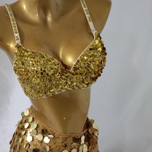 Carnival Costume/Costume bra and hip scarf costume set/Festive Clothing