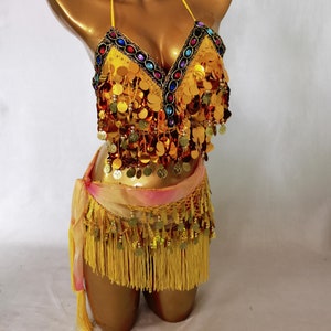 Costume bra and hip scarf costume set/Mardi Gras Clothing/Parade Costume/Carnival outfit/Cosplay Costume/Photo Shooting Costume
