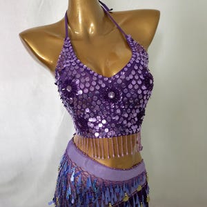 Purple Carnival Costume/Costume bra and hip scarf costume set/Festive Clothing/Photo Shooting Costume/Cosplay Costume