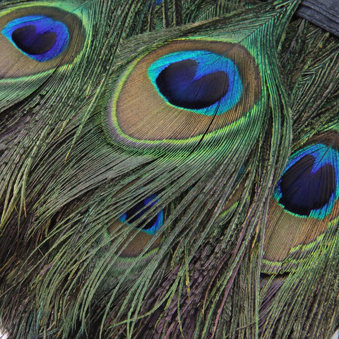Sell by yard Peacock Eyes Fringe Trim Etsy