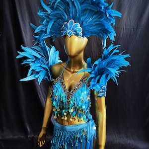 Carnival Costume/Showgirl Outfit/ Stage Show Costume/ Rave Outfit/ Las Vegas Showgirl Costume
