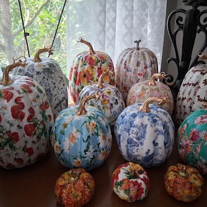 Può includere: Una collezione di zucche decorative con vari motivi, tra cui fragole, stampe floreali, toile de Jouy blu e bianco e bassotti. Ogni zucca è sormontata da un gambo color oro metallizzato, mostrando una varietà di dimensioni e design.