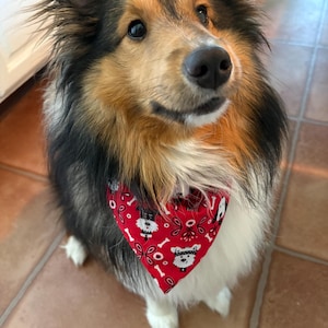 Scrunchie Pet Bandana | MEDIUM Size | ONE (1) | Bandana | Cotton Fabric | Machine Washable | Handmade | Free U.S. Shipping