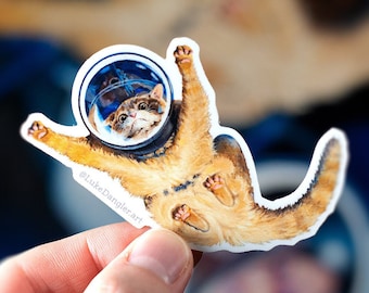 Space Cat Sticker - Squished Kitten Vinyl Sticker, Cat Astronaut Sticker for Laptop, Cute Waterproof Car Window Decal, Funny Phone Decal