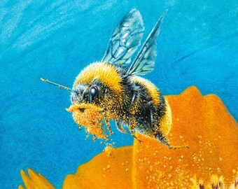 Bearded Bee Prints - Watercolor Bee Wall Art