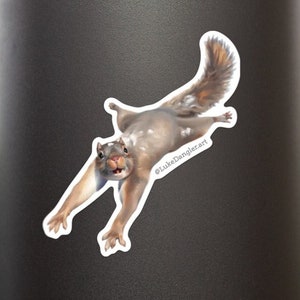 Squirrel Sticker - silly squirrel laptop stickers, decals, bumper sticker, vinyl stickers, funny sticker, small gift idea